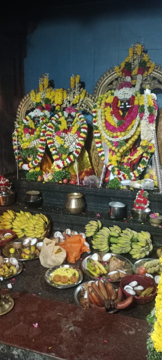 Gallery Image 7
